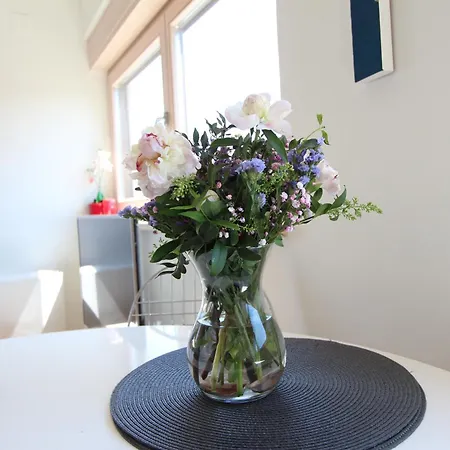 Makado Apartmán Rovinj